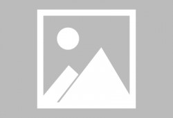 山鸡鱼最新爆料