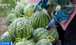 网红大瓜博雅吃瓜视频最全观看,全网最全大瓜盘点，一网打尽网红圈热点